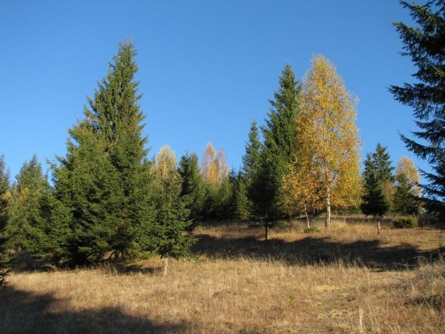 12 Apostoli_Calimani _blog 04