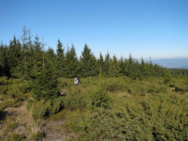 12 Apostoli_Calimani _blog 58