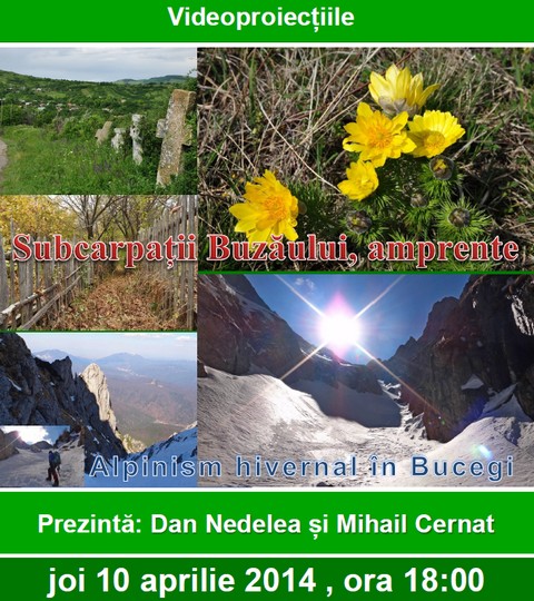 afis Schiller 10 aprilie 2014 [2] _blog