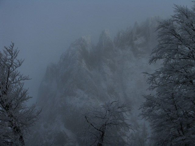 Cr Cocos_iarna _blog 02