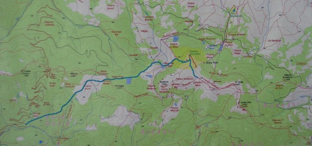 Cr Cocos_iarna _blog 03