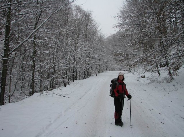 Cr Cocos_iarna _blog 04