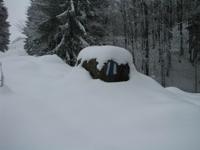 Cr Cocos_iarna _blog 12