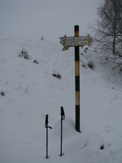 Cr Cocos_iarna _blog 14