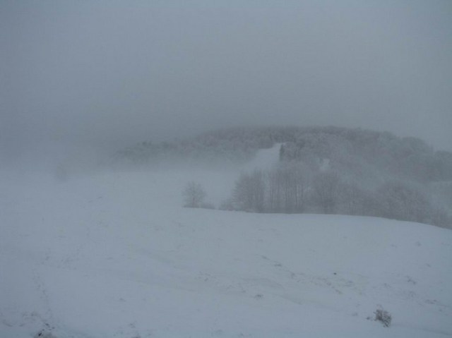 Cr Cocos_iarna _blog 19