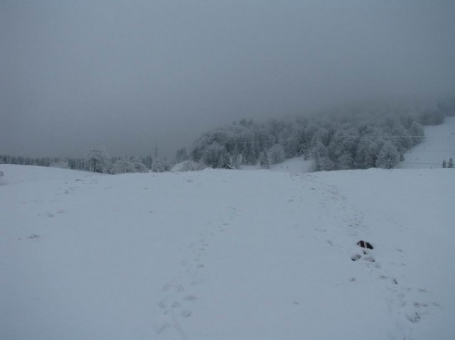 Cr Cocos_iarna _blog 23