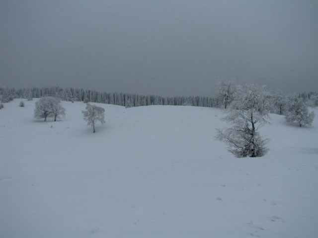 Cr Cocos_iarna _blog 25