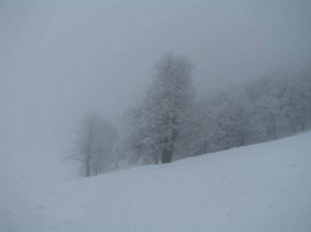 Cr Cocos_iarna _blog 35