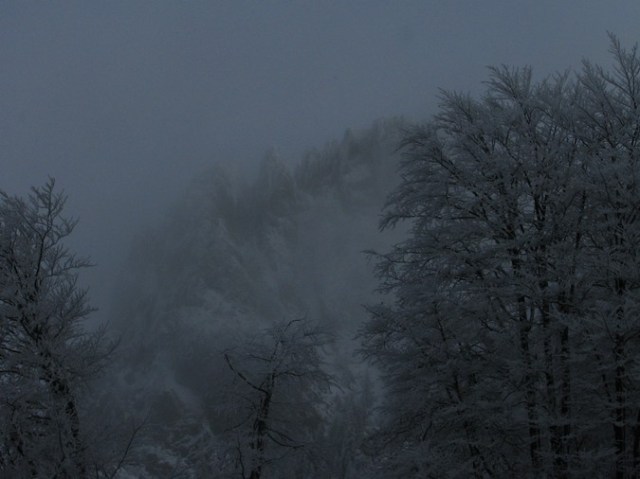 Cr Cocos_iarna _blog 38