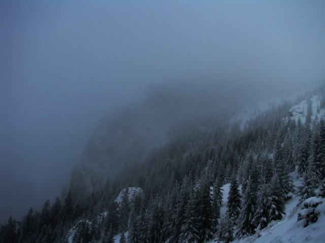 Cr Cocos_iarna _blog 45