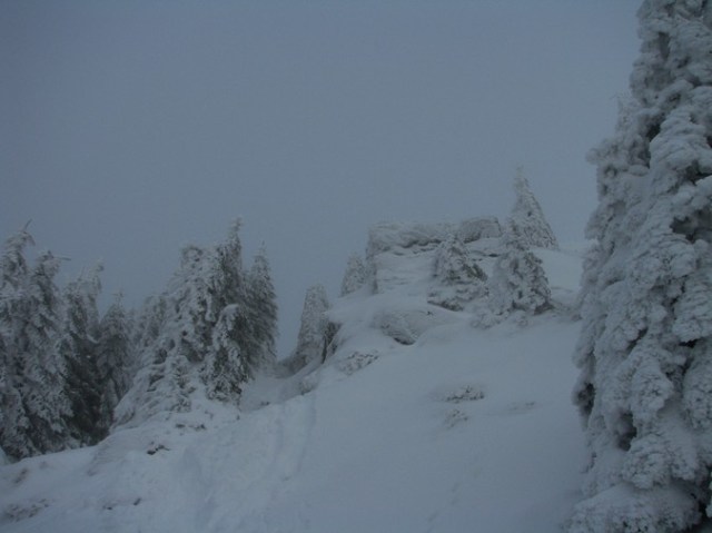 Cr Cocos_iarna _blog 46