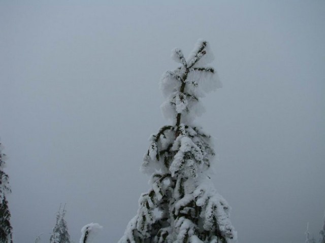 Cr Cocos_iarna _blog 47