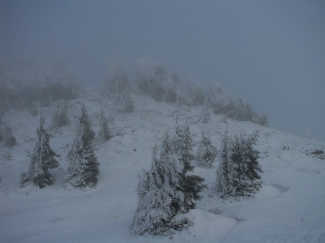 Cr Cocos_iarna _blog 48