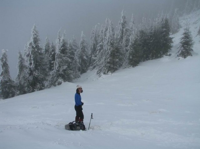 Cr Cocos_iarna _blog 49