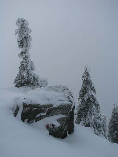 Cr Cocos_iarna _blog 50