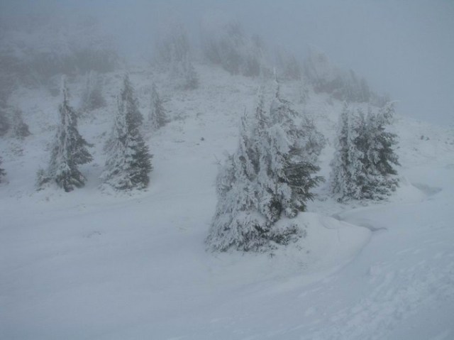 Cr Cocos_iarna _blog 53