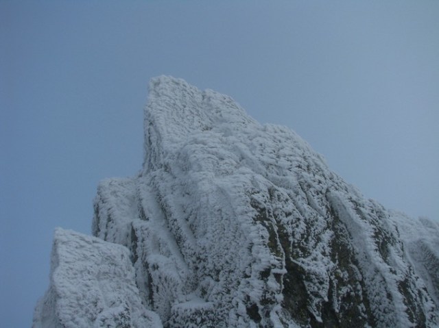 Cr Cocos_iarna _blog 60