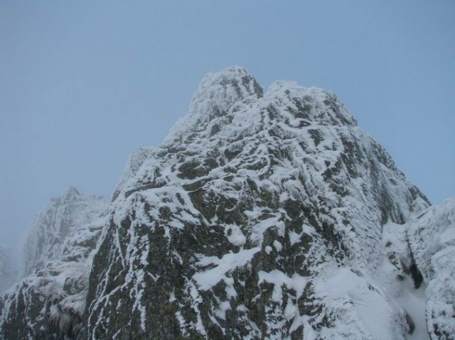 Cr Cocos_iarna _blog 61