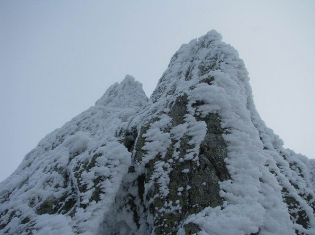 Cr Cocos_iarna _blog 66