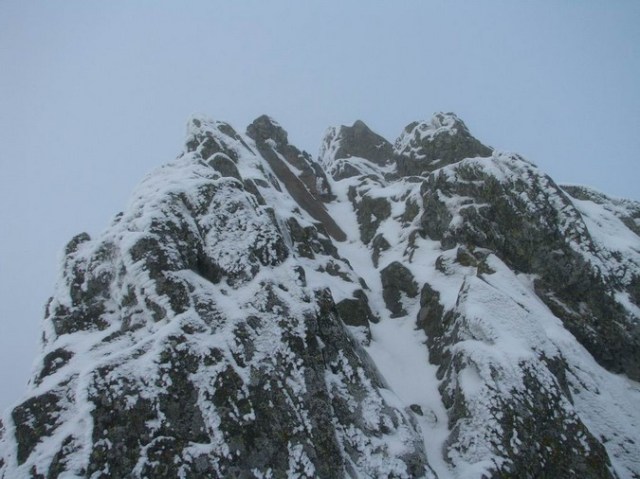 Cr Cocos_iarna _blog 67