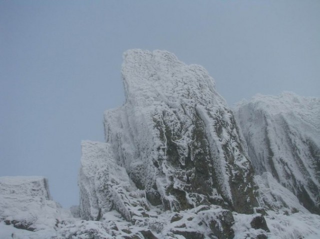 Cr Cocos_iarna _blog 73