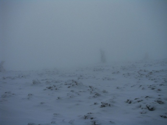 Cr Cocos_iarna _blog 76