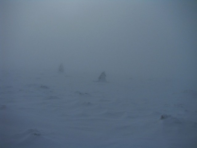 Cr Cocos_iarna _blog 77