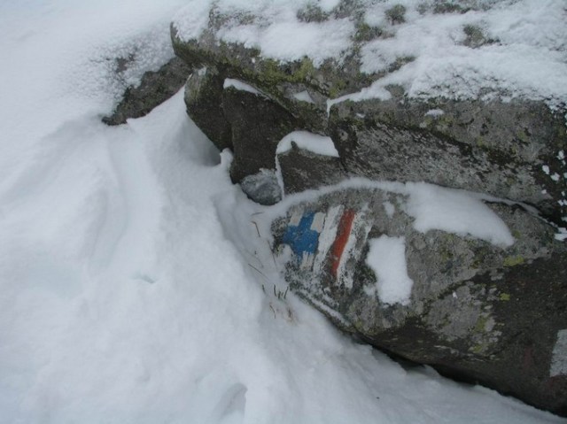 Cr Cocos_iarna _blog 80