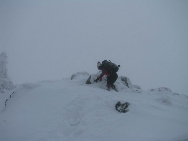 Cr Cocos_iarna _blog 82