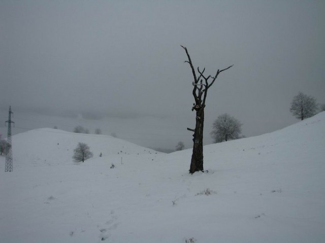 Cr Cocos_iarna _blog 86