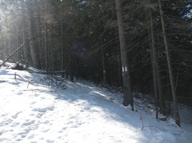 Giumalau_trav_iarna _blog 005