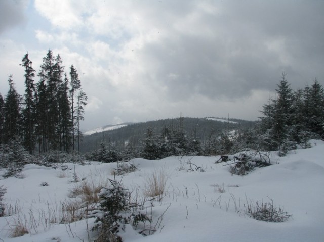 Giumalau_trav_iarna _blog 077