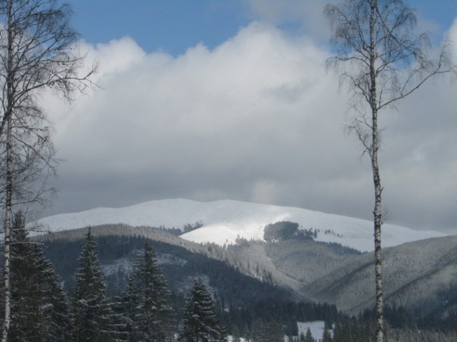 Giumalau_trav_iarna _blog 084