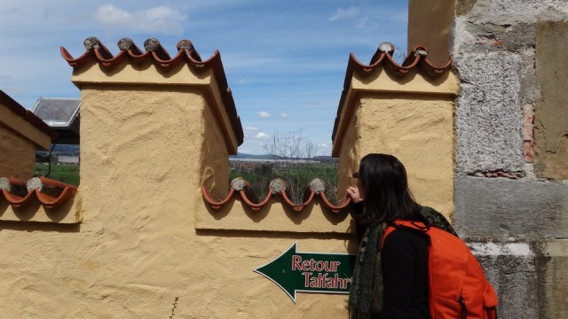 Hohenschwangau _blog 56