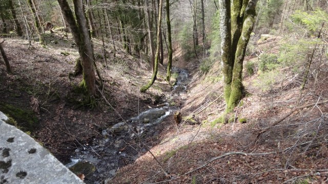 Neuschwanstein _blog 06