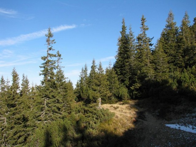 Pietros_Calimani _blog 101