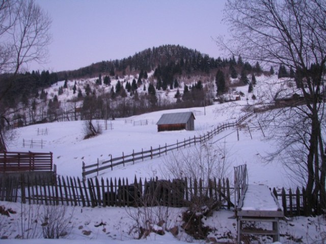 Rarau_trav_iarna _blog 10