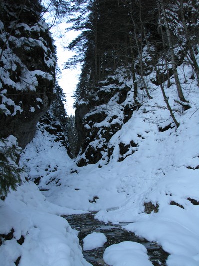 Rarau_trav_iarna _blog 11