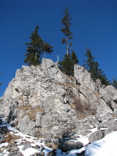 Rarau_trav_iarna _blog 26