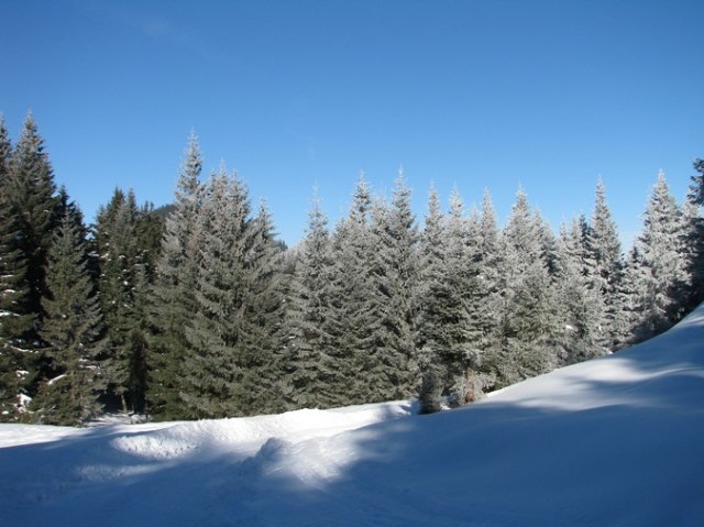 Rarau_trav_iarna _blog 90