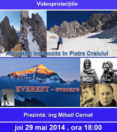 afis Schiller 29 mai 2014 _blog