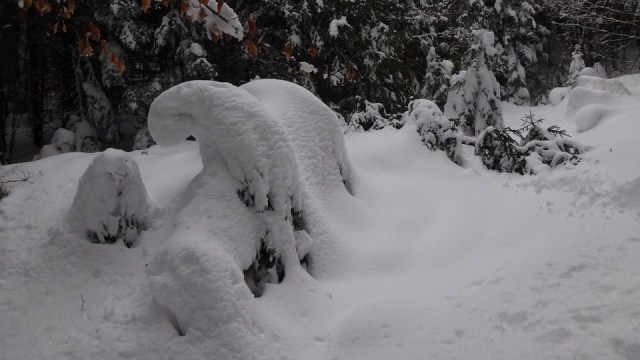 Piatra Mare_13042014_blog 14