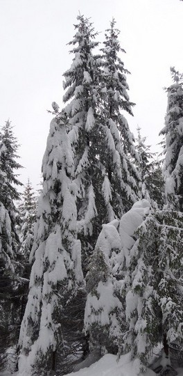 Piatra Mare_13042014_blog 15