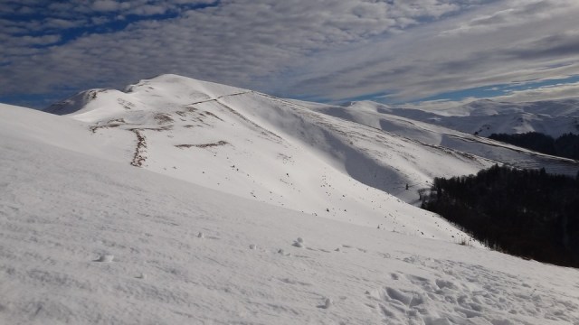 Cazacu_11012015_blog 03