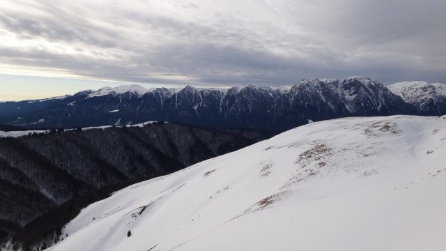 Cazacu_11012015_blog 18