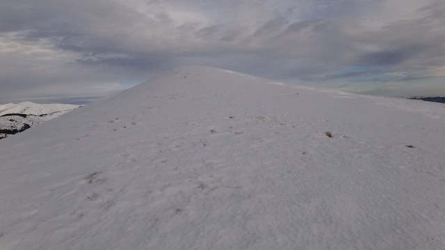 Cazacu_11012015_blog 21