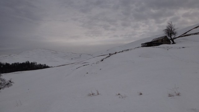 Cazacu_11012015_blog 29