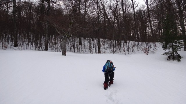 Cazacu_11012015_blog 31