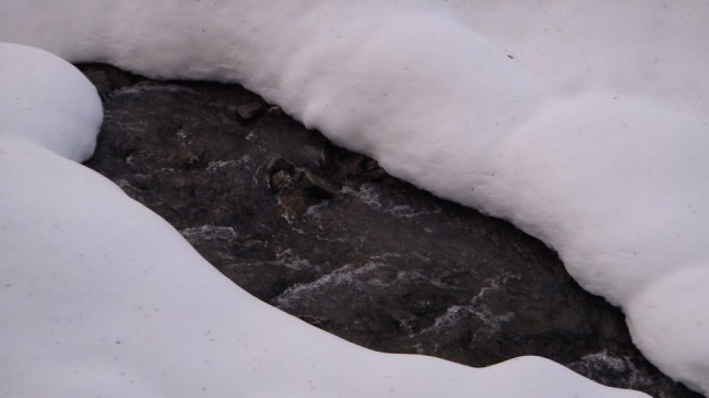 Cazacu_11012015_blog 32