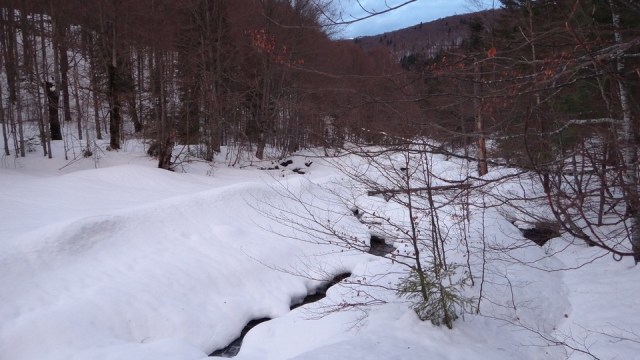 Cazacu_11012015_blog 33